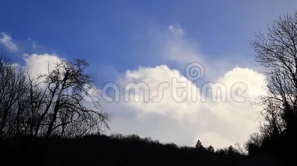 白云在蓝蓝的天空中缓缓移动绿树成荫视频的预览图