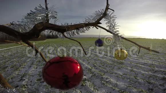 树枝上有两个圣诞包4K视频的预览图