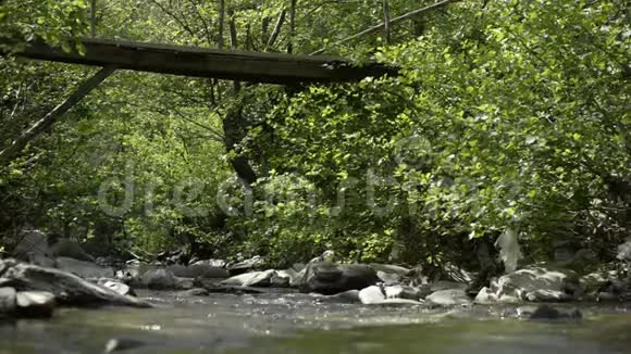 河溪在木桥下和大自然中视频的预览图