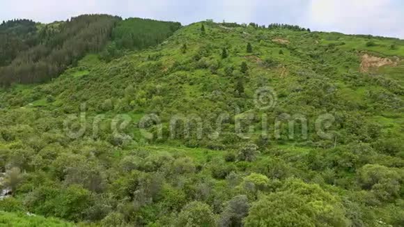 美丽的高地山谷和山涧4K潘射视频的预览图