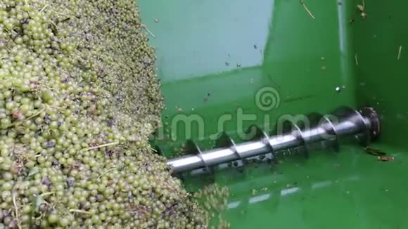 德国莫斯尔河的葡萄酒收获拖车上的葡萄视频的预览图