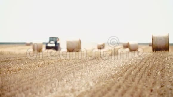 拖拉机在收割时运送稻草视频的预览图