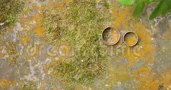 绿色苔藓背景上的一块石头上的白金结婚戒指视频的预览图