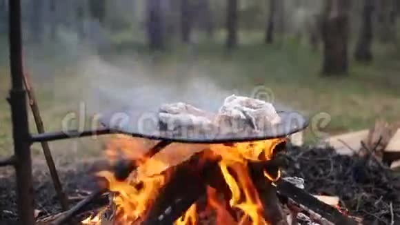 新鲜的鱼在森林大火上烤视频的预览图