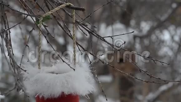 鸟儿在冬天从圣诞老人的帽子里啄食种子视频的预览图
