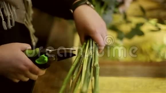 女手用剪刀剪花茎视频的预览图