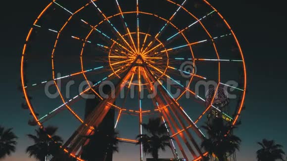 夜间摩天轮灯和棕榈树视频的预览图