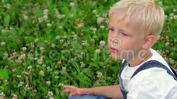 阳光明媚的草地上的小男孩视频的预览图