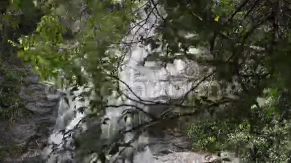 蒂朱卡森林的瀑布视频的预览图