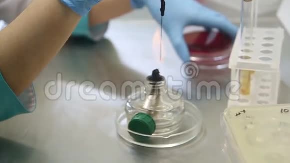 在实验室里播种细菌视频的预览图