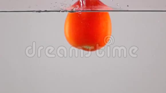 超级慢动作红色成熟的番茄在水中落下漂浮灰色背景视频的预览图