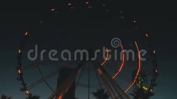 夜间摩天轮灯和棕榈树视频的预览图