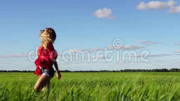 快乐的女人享受大自然美丽的金发女郎在田野上跳舞自由概念视频的预览图