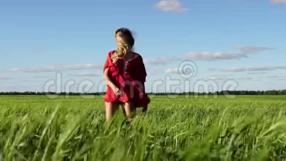 快乐的女人享受大自然美丽的金发女郎在田野上跳舞自由概念视频的预览图