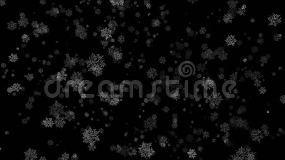 在三维空间中黑色背景中缓慢落下和旋转雪花视频的预览图