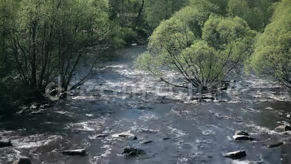 春天的山河视频的预览图