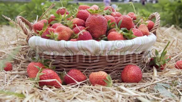 在稻草上的篮子里放成熟的草莓视频的预览图