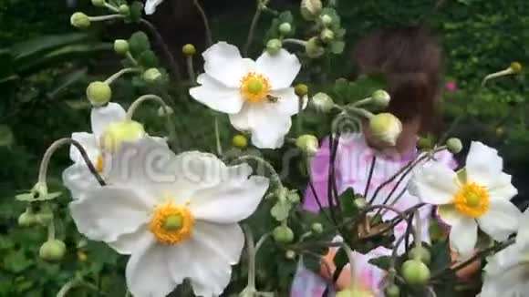 小女孩看着花园里盛开的花朵上的蝴蝶视频的预览图