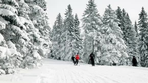 一群人在冬天滑雪视频的预览图