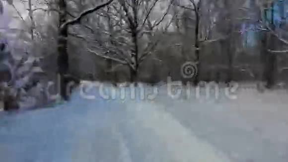 路从冬林超脱电影视频的预览图