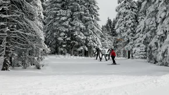 一群人在田园诗般的冬季环境中滑雪视频的预览图