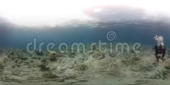 360名潜水者在珊瑚礁上游泳视频的预览图