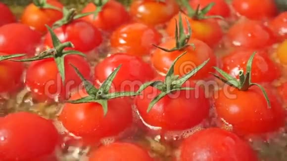 把红樱桃西红柿和叶子煎熟视频的预览图