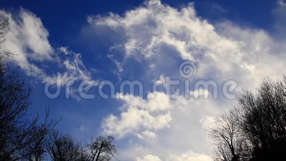 白云在蓝蓝的天空中缓缓移动绿树成荫视频的预览图