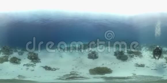 360名潜水者在珊瑚礁上游泳视频的预览图
