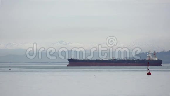 一艘大型货船停泊在雪山的背景上漂浮的海豚视频的预览图