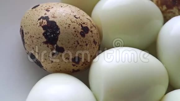 无壳煮鹑蛋的多莉视频视频的预览图