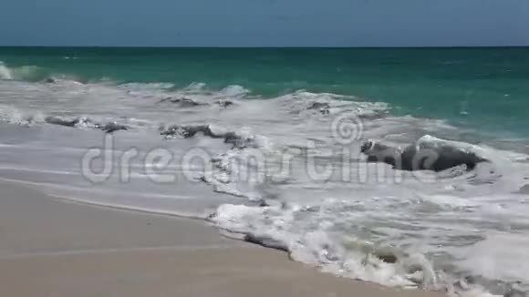 野生海滩PlayaLosCocos加勒比卡约拉戈岛冲浪视频的预览图