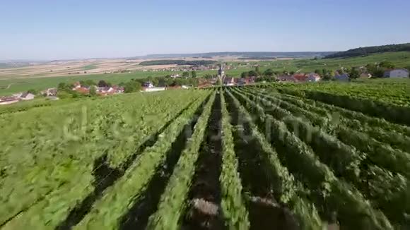 法国香槟蒙塔涅德雷姆斯地区公园德曼吉维尔航空景观视频的预览图