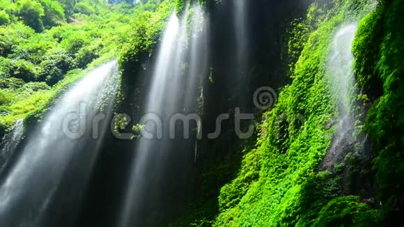 马达卡里普拉瀑布BromoTengerSemeru国家公园视频的预览图