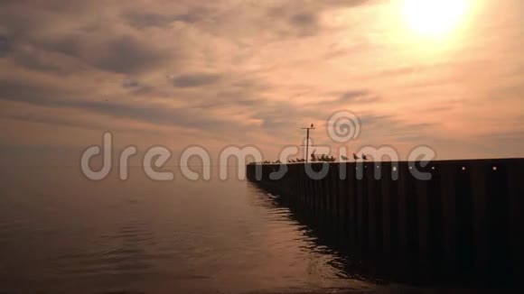 海上日落金色海洋日落日落的大海橙色日落有海鸥的海上码头视频的预览图