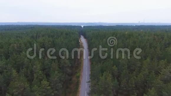 森林中无尽的道路空中摄影视频的预览图