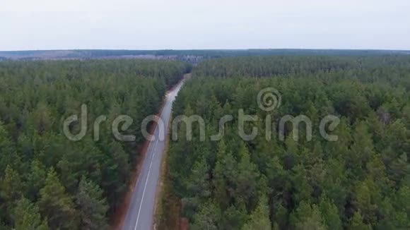 森林中无尽的道路空中摄影视频的预览图