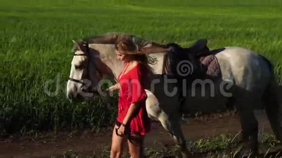 年轻的美女带着白马在绿茵场上散步视频的预览图