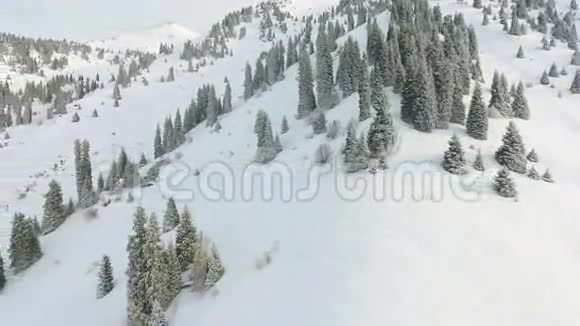 空中观景镜头冒险在山上冬天滑雪板和滑雪区无人驾驶飞机的4K视频视频的预览图