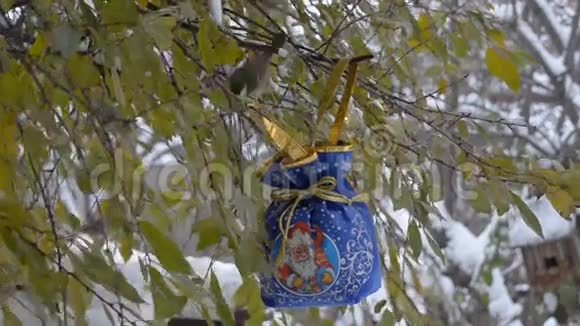 鸟儿从圣诞礼品袋中啄食种子白雪和绿叶视频的预览图