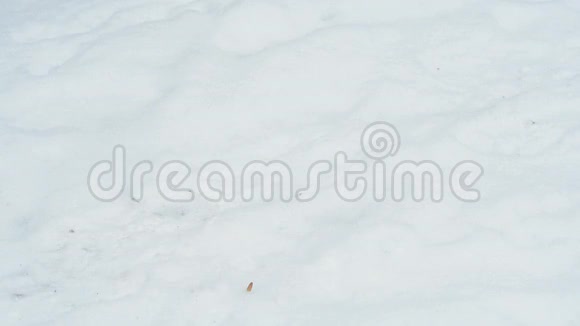 男子刷雪铲1视频的预览图