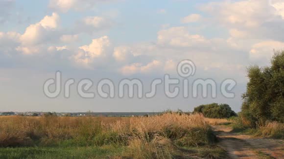 夏日风景村里的田地视频的预览图