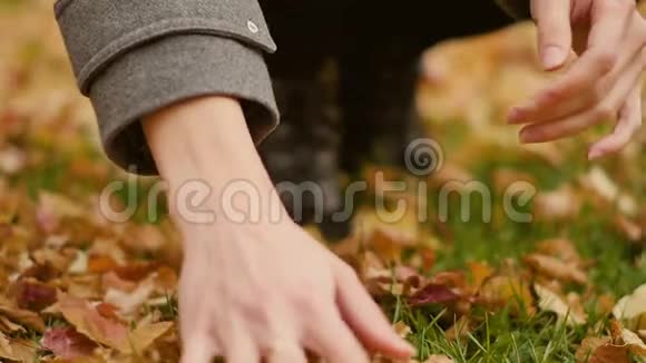 一个年轻女子手的慢动作她挽着一臂树叶尽情地享受秋天的宜人天气视频的预览图