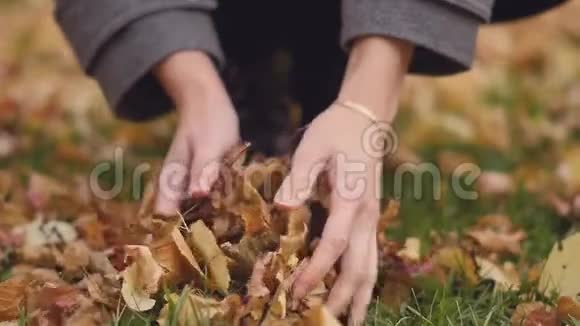 一个年轻女子手的慢动作她挽着一臂树叶尽情地享受秋天的宜人天气视频的预览图