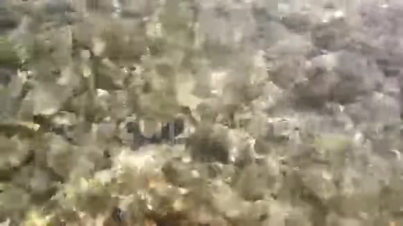 李尔海水底部有鹅卵石视频的预览图