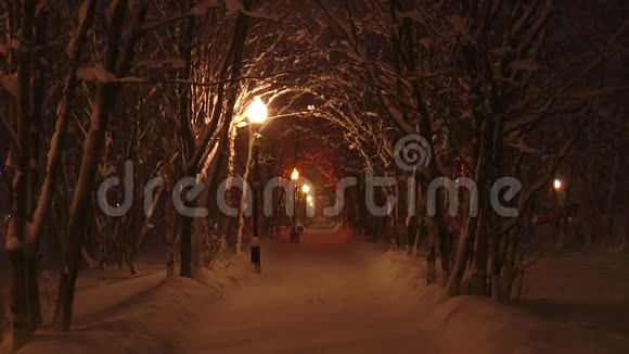冬公园里的夜巷路灯落雪视频的预览图