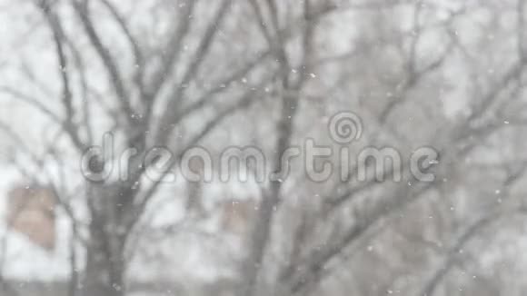 雪花在冬天的背景下飞舞视频的预览图