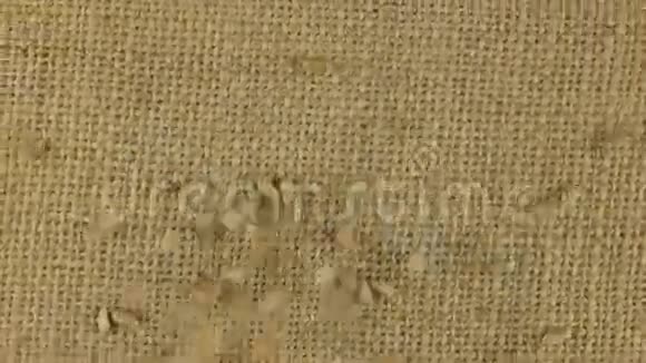 在旋转的布上掉落的麦粒视频的预览图