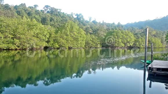 泰国早晨的河流和倒影森林视频的预览图