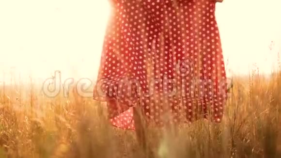 小女孩穿着红色的裙子走在草地上带着绿草自然的慢动作视频在田野里的女孩在日落时腿视频的预览图